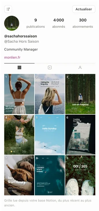 Le widget planificateur de feed : la grille Instagram affichée dans une page Notion